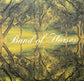 Band Of Horses - Everything All The Time (2xLP, 20th anniversary edition, Gold Vinyl)