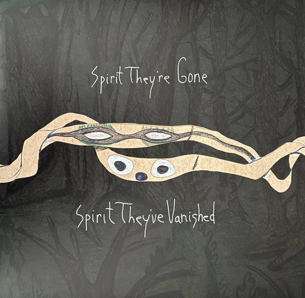 Animal Collective - Spirit They're Gone Spirit They've Vanished (2xLP, Grass Green, limited vinyl)