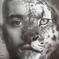 ZAYN (3) - Konnakol
