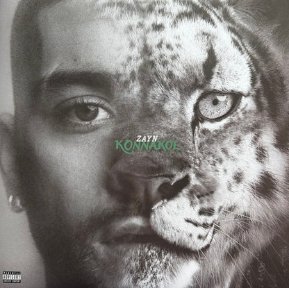 ZAYN (3) - Konnakol
