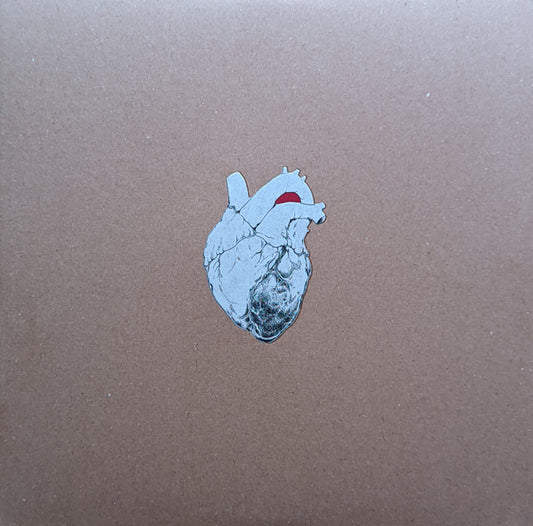 Swans - The Beggar (2xLP)