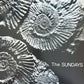 The Sundays - Reading, Writing And Arithmetic
