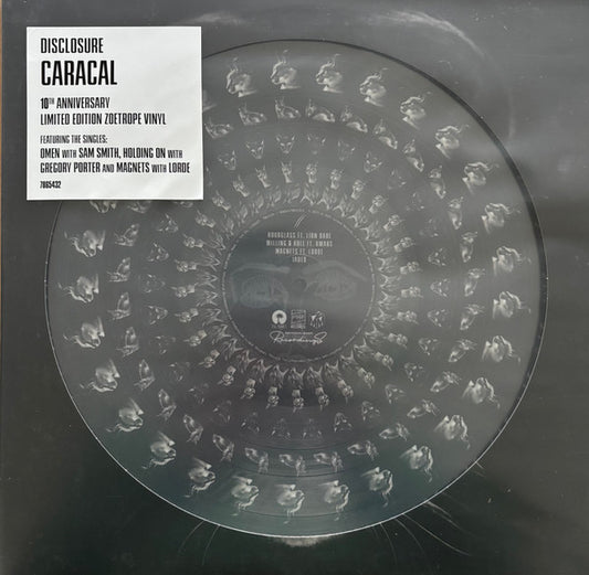 Disclosure - Caracal