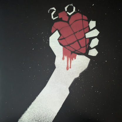 Green Day - American Idiot 20