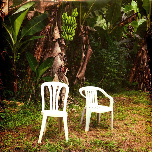 Bad Bunny - Debí Tirar Más Fotos (2xLP color blanco) - Salvaje Music Store
