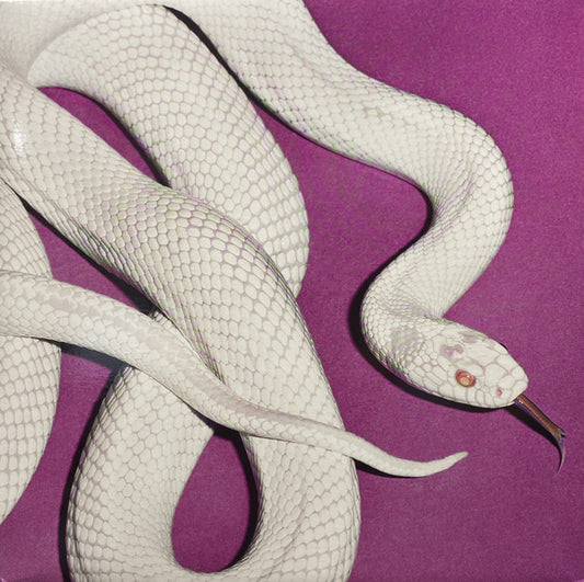 Deftones - Private Music