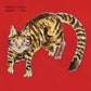 Yasuaki Shimizu - Kakashi - Salvaje Music Store