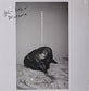 Julia Holter - Materia