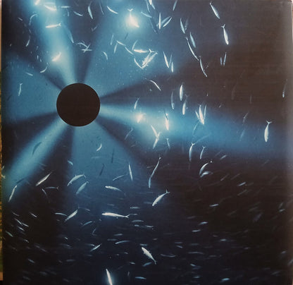 Laurel Halo - Midnight Zone (Original Soundtrack To The Film By Julian Charrière)