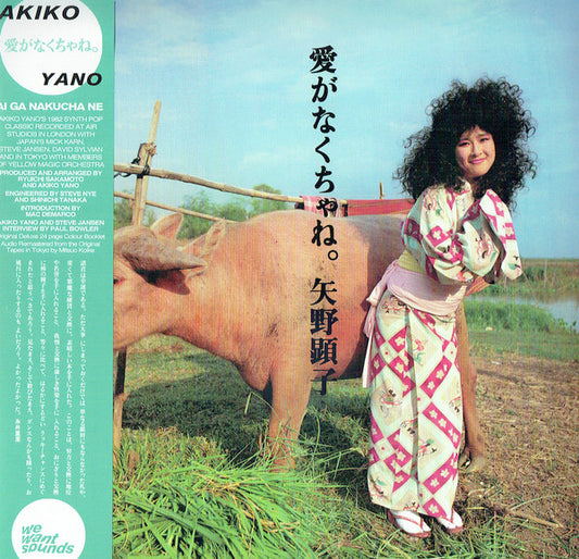 Akiko Yano - Ai Ga Nakucha Ne
