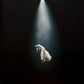 Ariana Grande - Eternal Sunshine Deluxe: Brighter Days Ahead (2xLP)