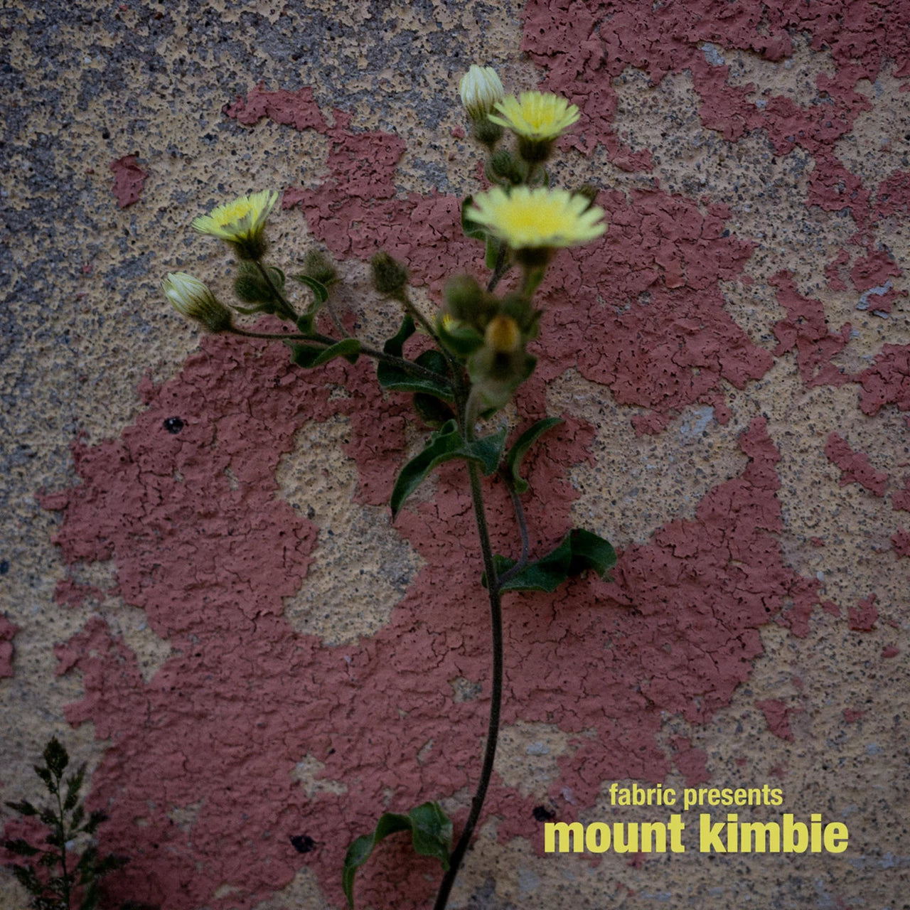 Various Artists - Fabric Presents Mount Kimbie (2xLP)