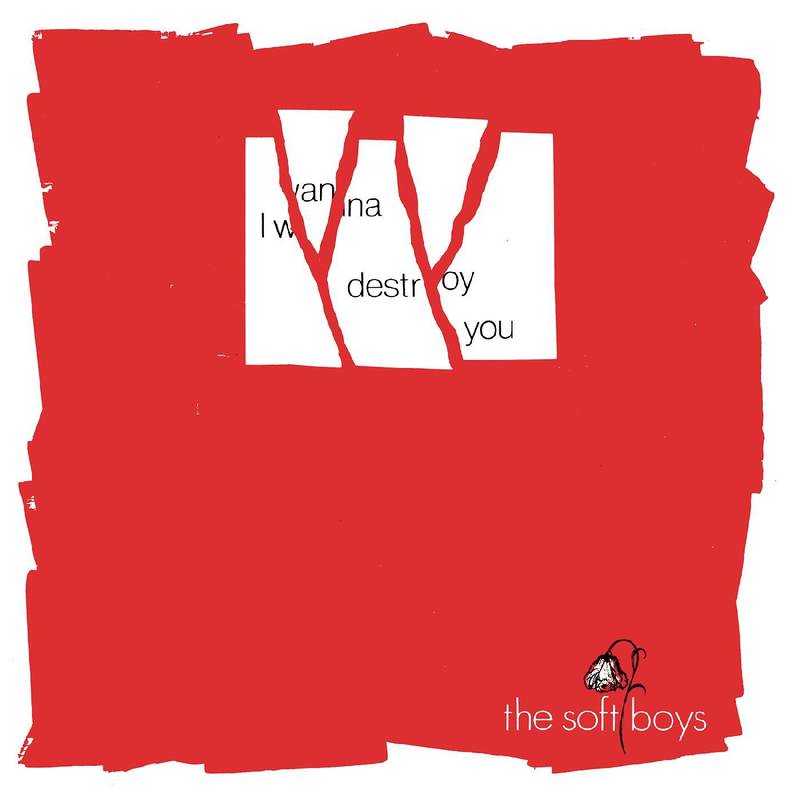 The Soft Boys - I Wanna Destroy You / Near The Soft Boys (40th Anniversary Edition - RSD 2020)