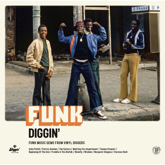 Various - Funk Diggin'