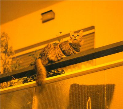 Sam Prekop - The Republic Vinil - Salvaje Music Store MEXICO