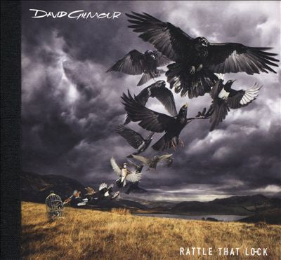 David Gilmour - Rattle That Lock Vinil - Salvaje Music Store MEXICO