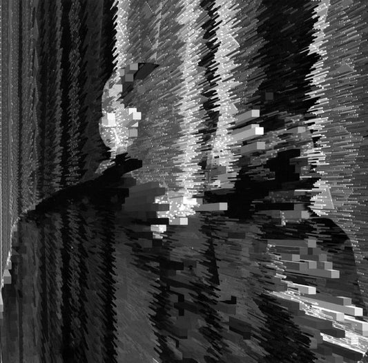 Carter Tutti - Carter Tutti Plays Chris & Cosey + Carter Tutti Remix Chris & Cosey (2xLP)