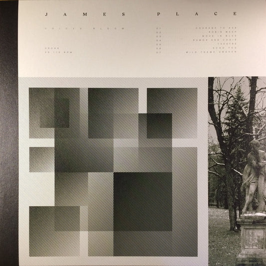 James Place - Voices Bloom (Orange Neon Vinyl)