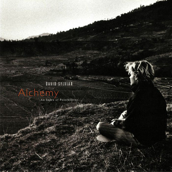 David Sylvian - Alchemy An Index Of Possibilities