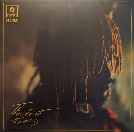 Thundercat - It Is What It Is (clear)