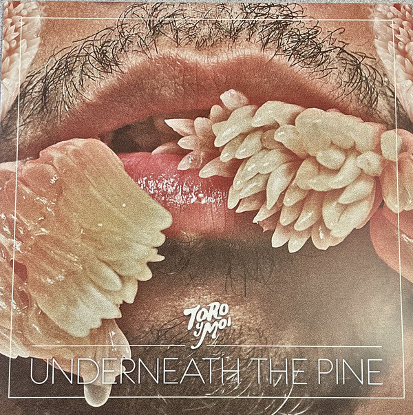 Toro Y Moi - Underneath The Pine(splatter vinyl)