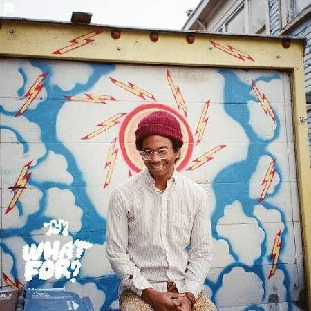 Toro Y Moi - What For?