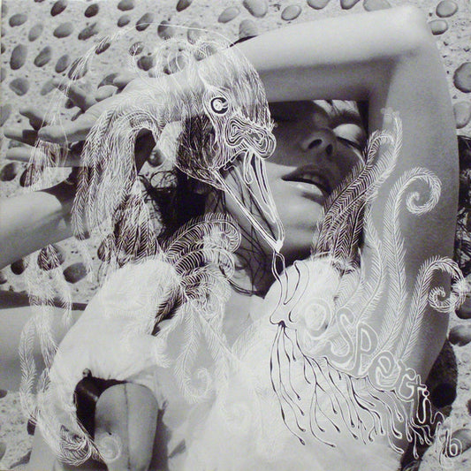 Björk - Vespertine (2xLP)