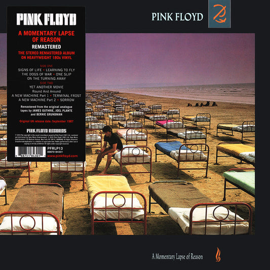 Pink Floyd - A Momentary Lapse Of Reason