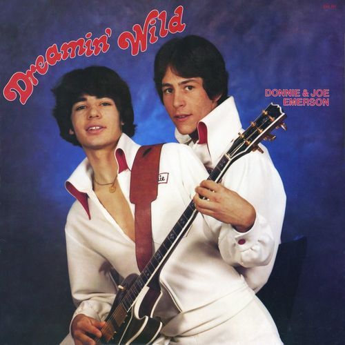 Donnie & Joe Emerson - Dreamin' Wild (Color LP) Vinil - Salvaje Music Store MEXICO