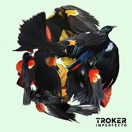 Troker - Imperfecto (Edición limitada, colored vinyl)