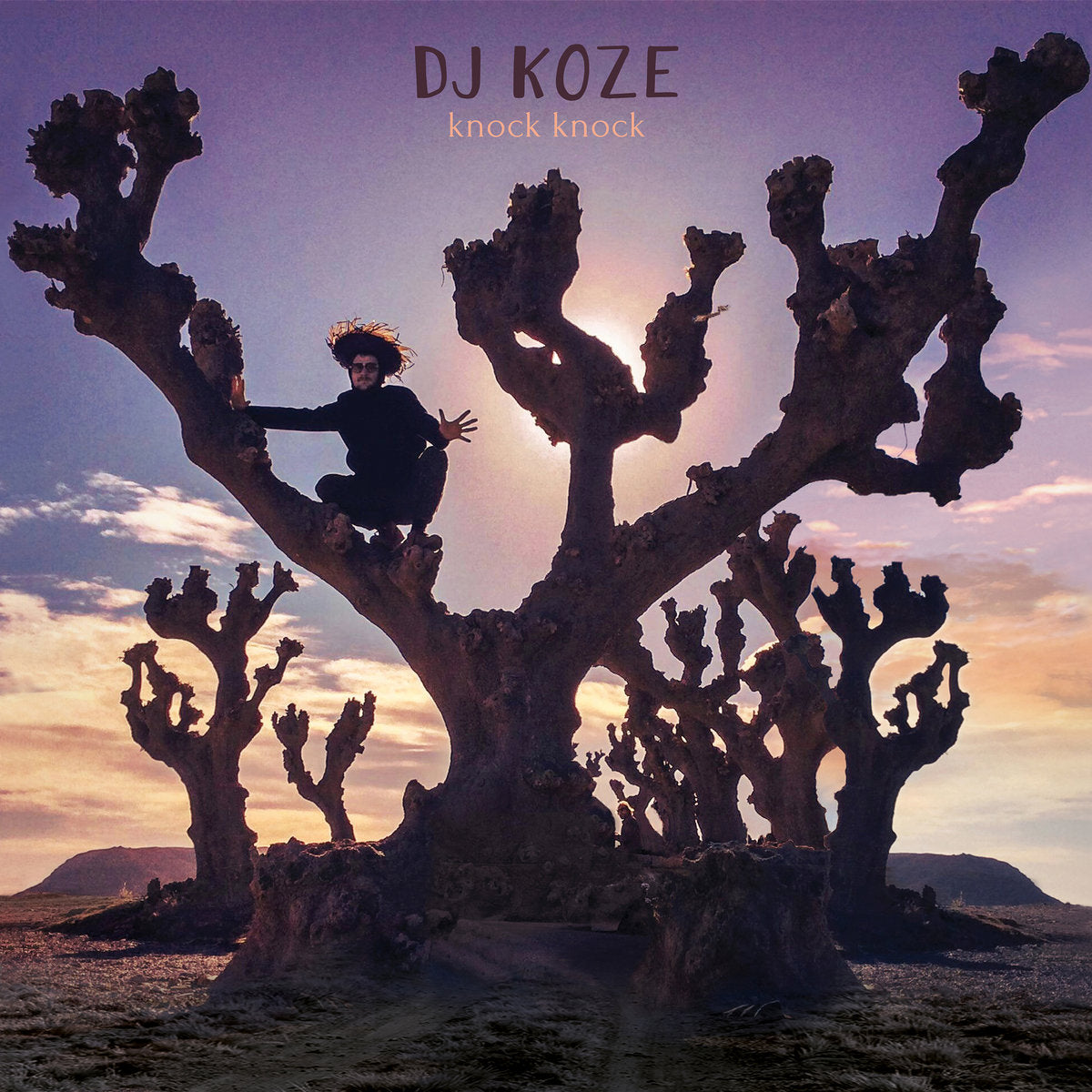 DJ Koze - Knock Knock LP vinil - Salvaje Music Store MEXICO