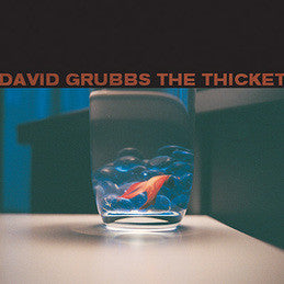 David Grubbs - The Ticket Vinil - Salvaje Music Store MEXICO