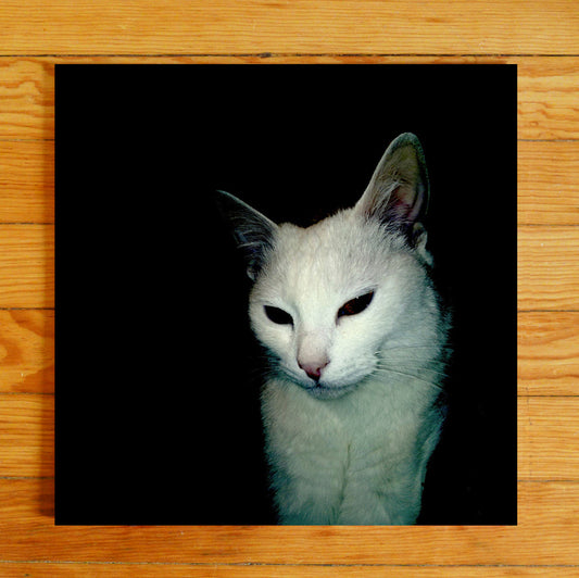 Martin Thulin - I Rather Be Transparent Than a Shadow In The Dark (Edición limitada - vinil blanco) Vinil - Salvaje Music Store MEXICO