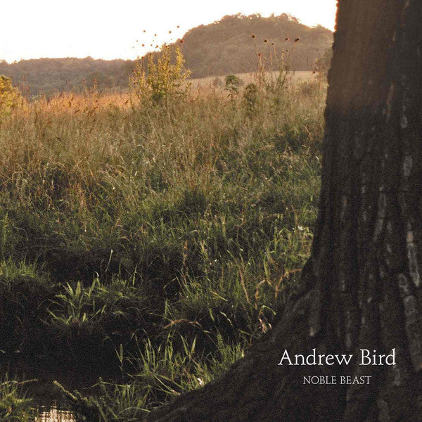 Andrew Bird - Noble Beast Vinil - Salvaje Music Store MEXICO