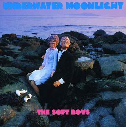 The Soft Boys - Underwater Moonlight Vinil - Salvaje Music Store MEXICO