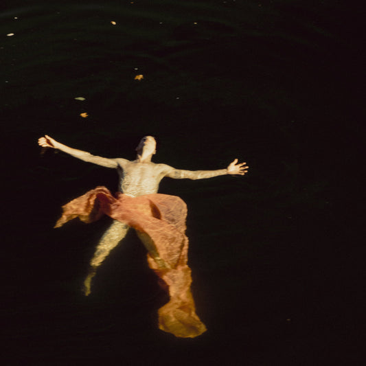 TR/ST / The Destroyer (Standard LP) Vinil - Salvaje Music Store MEXICO